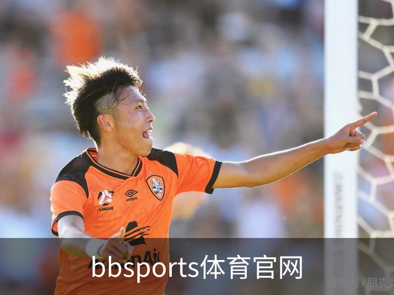 了解bbsports体育官网